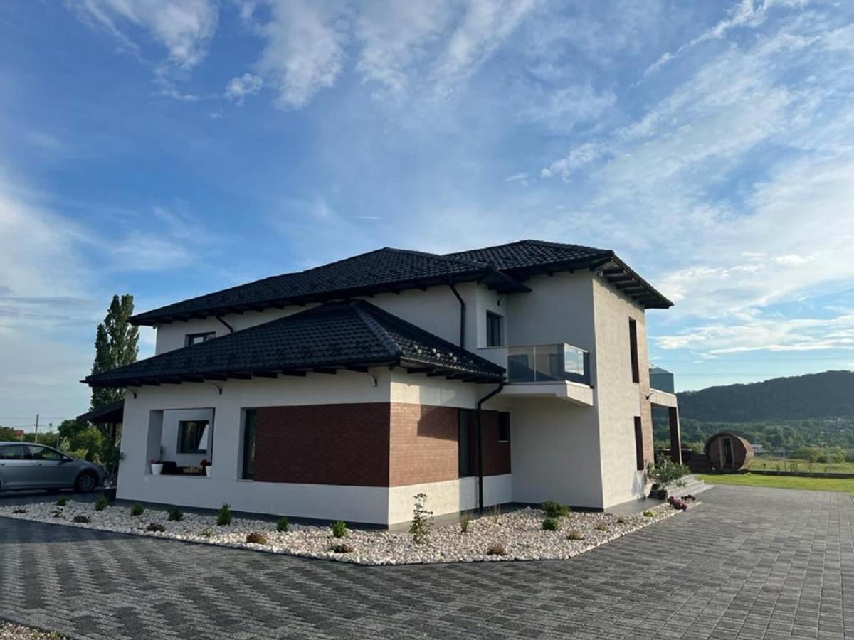 Casa Ambientt Hotel Curtea De Arges Exterior photo